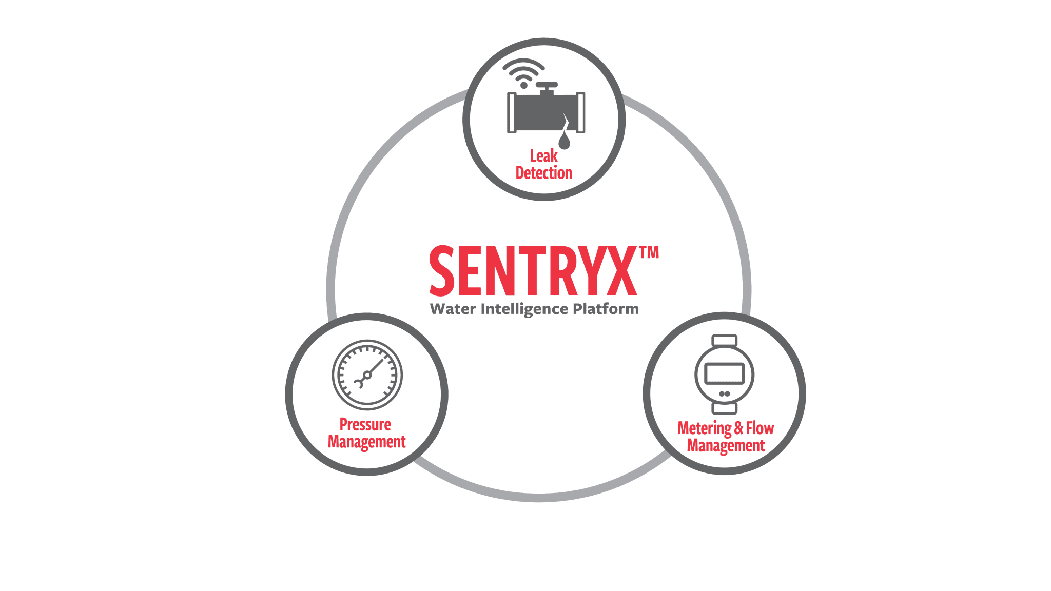Sentrix Water System SentryxTM Water Intelligence Platform - Mueller Systems